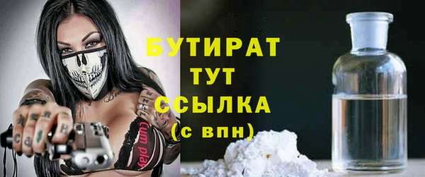 прущие грибы Богданович
