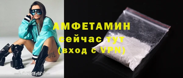прущие грибы Богданович