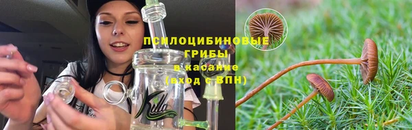 jwh Богородск