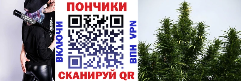 Шишки марихуана тримм  где можно купить наркотик  Кирсанов 